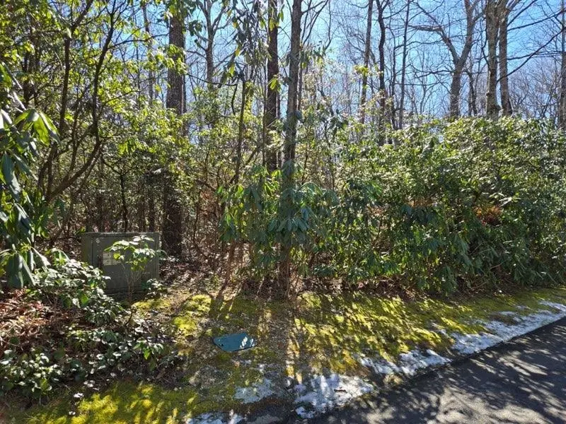 112 Hemlock Trail, Cleveland, SC 29635 - #3