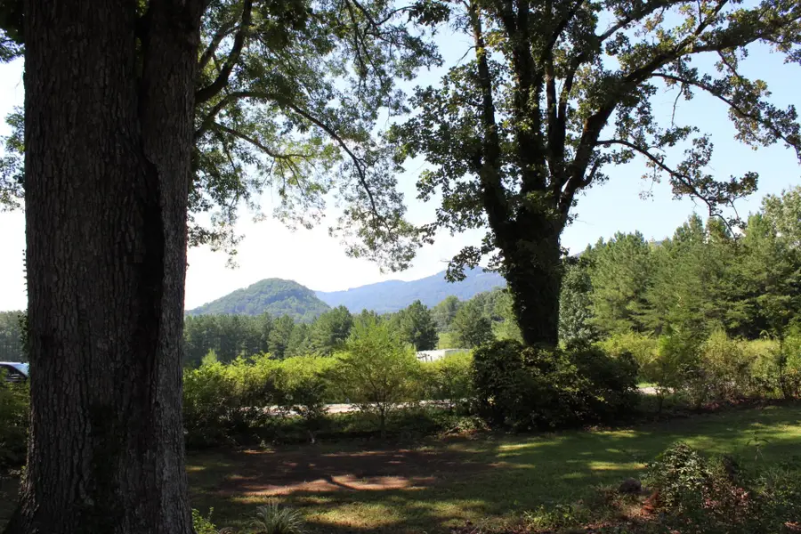 70 Fox Mountain Road, Columbus, NC 28722 - #2