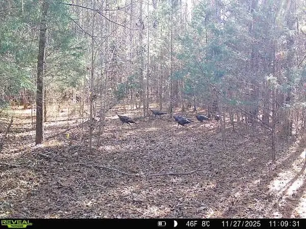 Simpson Mill Road, Laurens, SC 29360