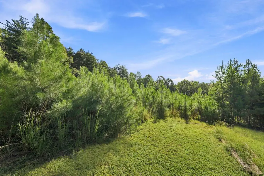 0 Helms Road, Blacksburg, SC 29702 - #2