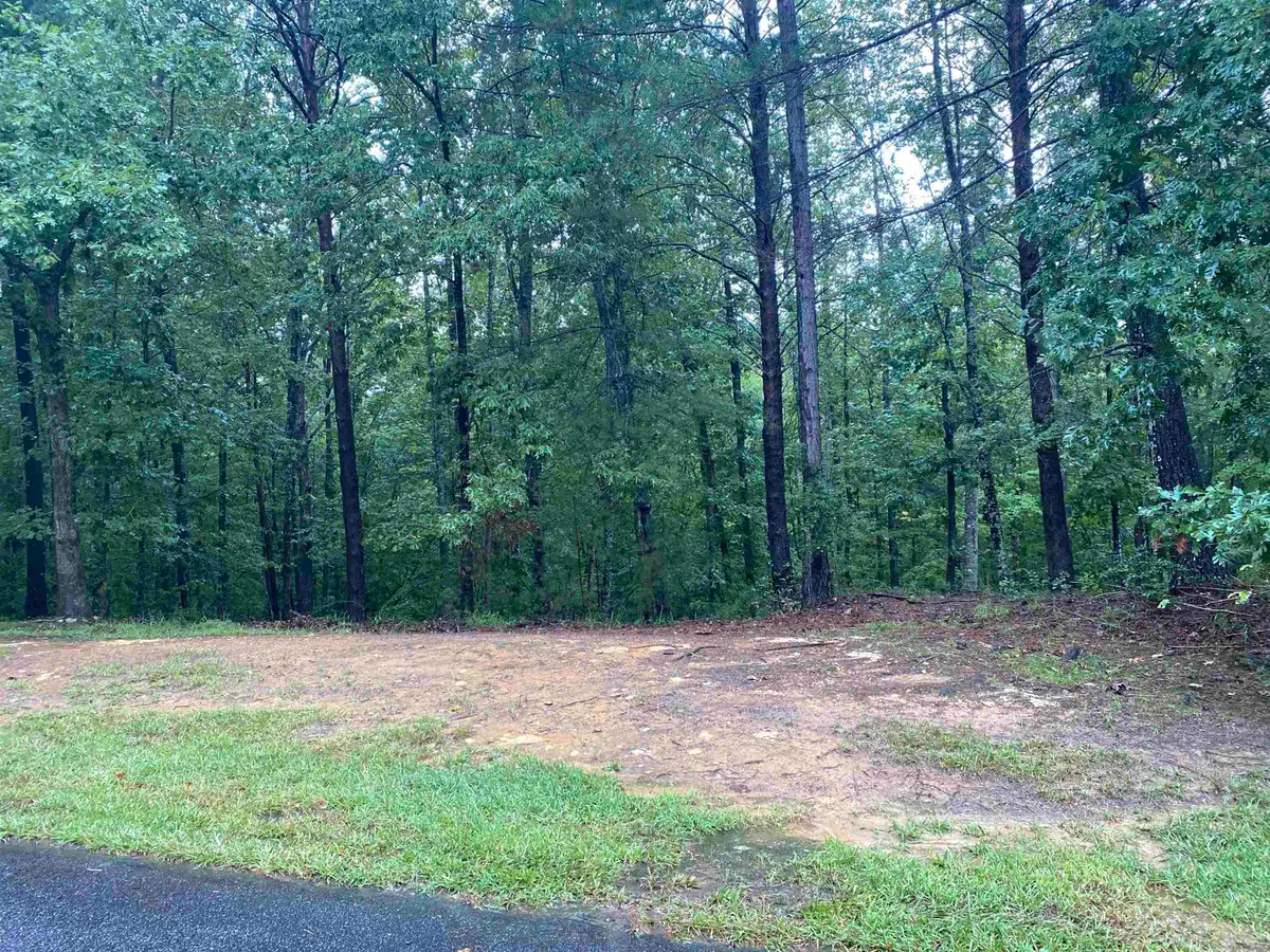 112 Wake Robin Drive, Sunset, SC 29685 - #1