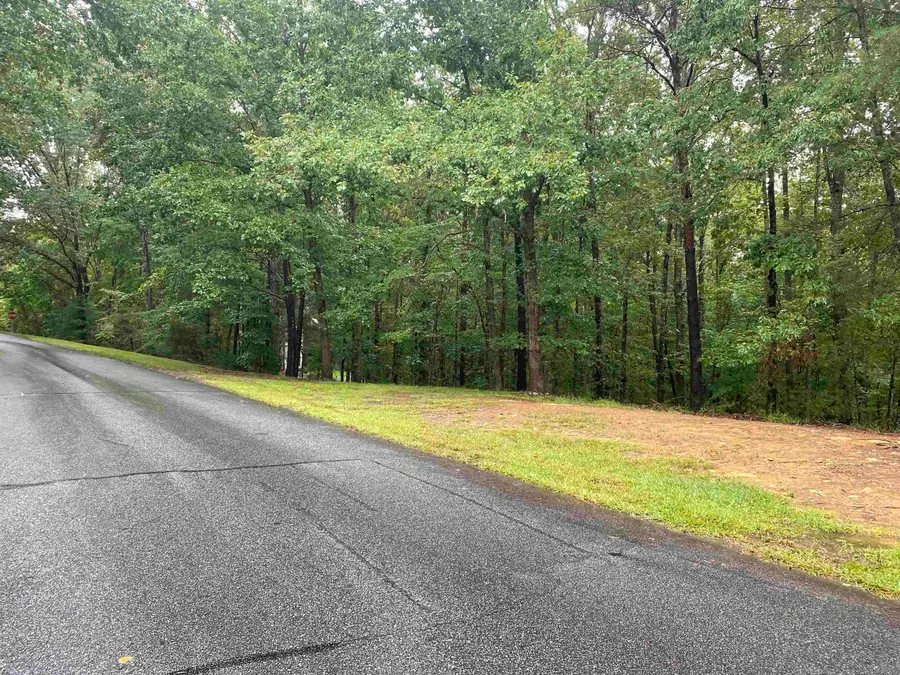 112 Wake Robin Drive, Sunset, SC 29685 - #2