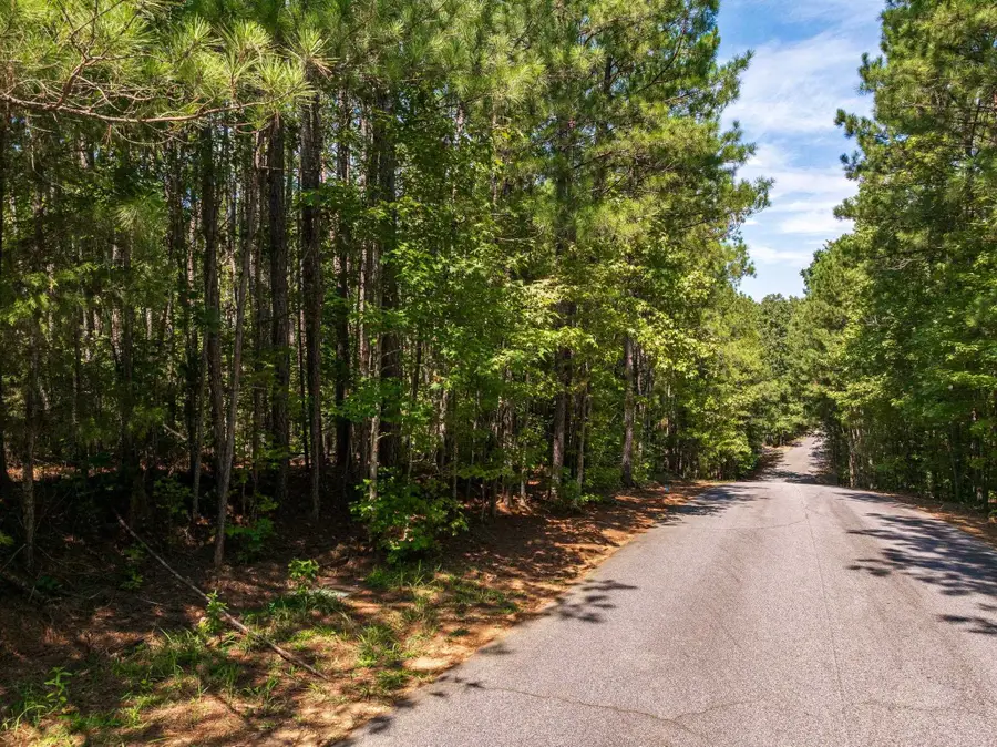 00 Hidden Springs Way, Cross Hill, SC 29332 - #2