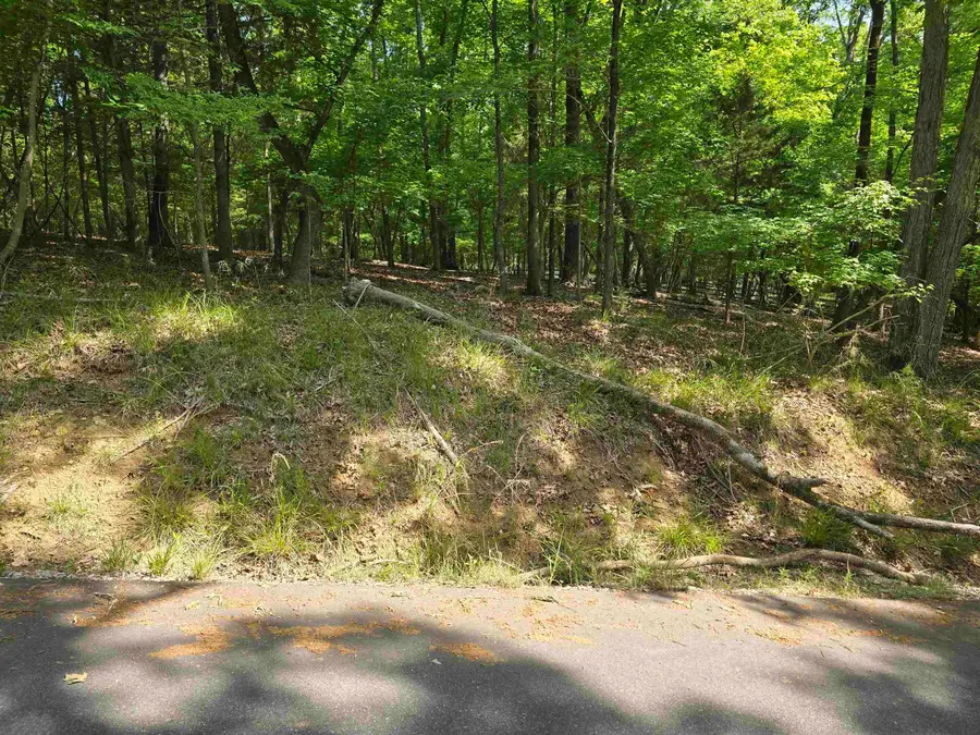 Lot 16 Cypress Drive, Clover, SC 29710 - #3