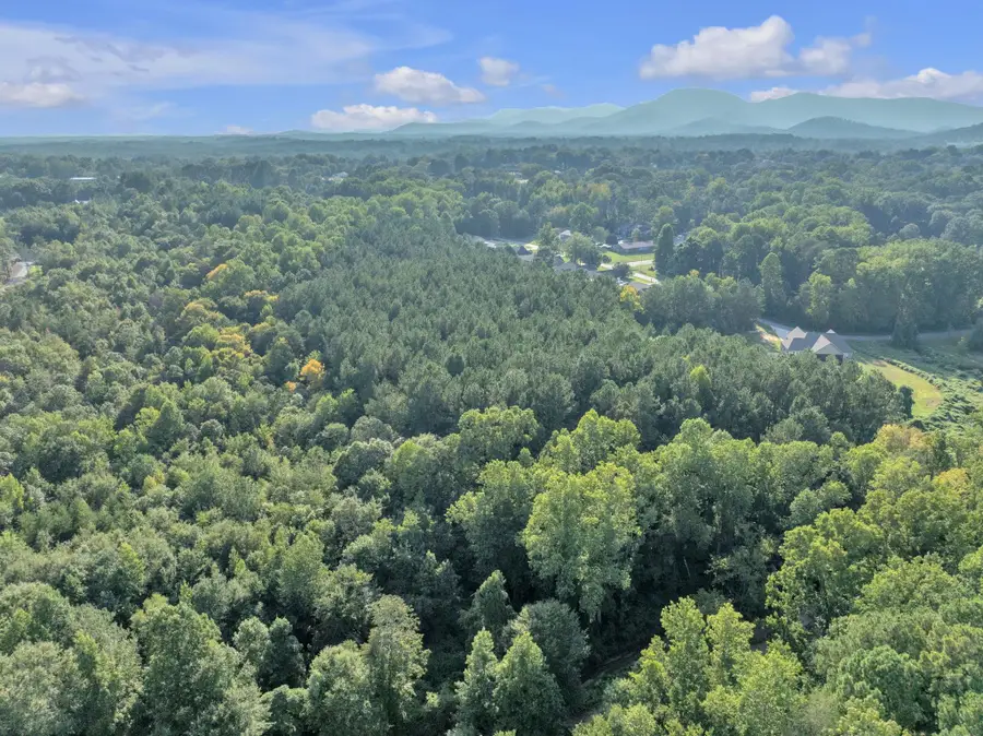0 S Bomar Avenue, Landrum, SC 29356 - #3