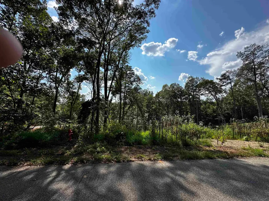 41 Briarcliff Road, Duncan, SC 29334 - #2