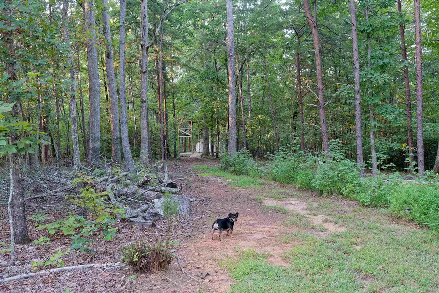 700 N Trade (c) Avenue, Landrum, SC 29356 - #2