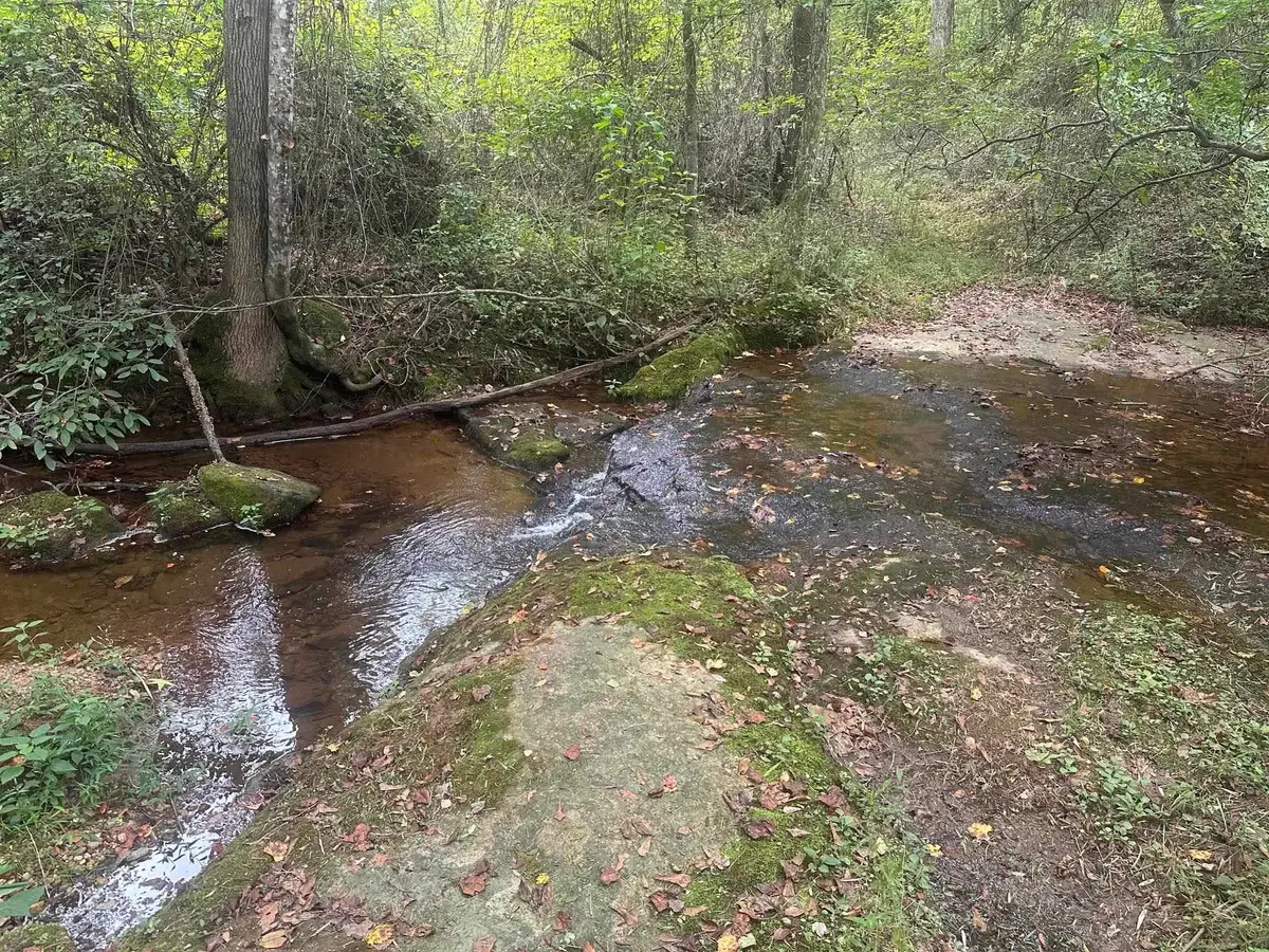 290 Burnetts Road, Chesnee, SC 29323 - #1