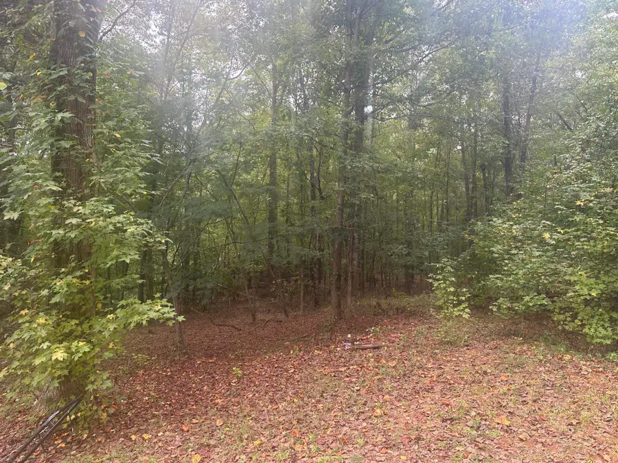 276 & 280 Burnetts Road, Chesnee, SC 29323 - #3