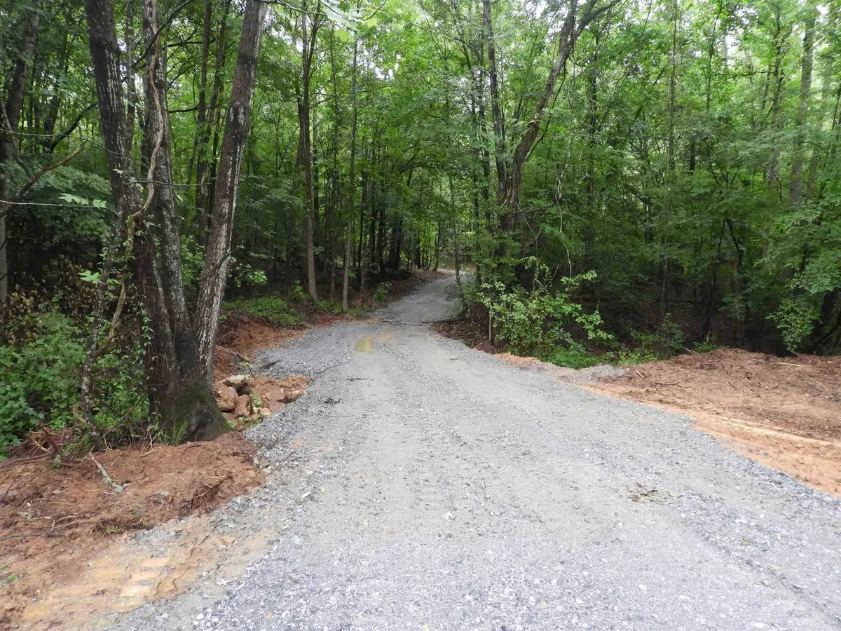2109 Tract B Riddle Road, Pauline, SC 29374 - #1