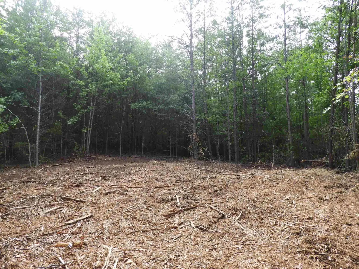 2109 Tract C&D Riddle Road, Pauline, SC 29374 - #1