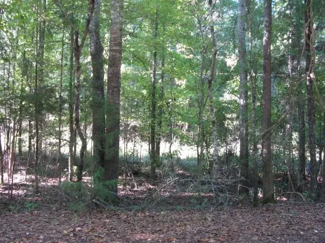 0 Gossett Rd, Woodruff, SC 29388 - #1
