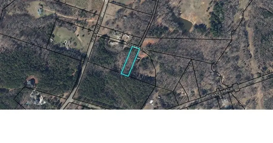 0 Gossett Rd, Woodruff, SC 29388 - #3