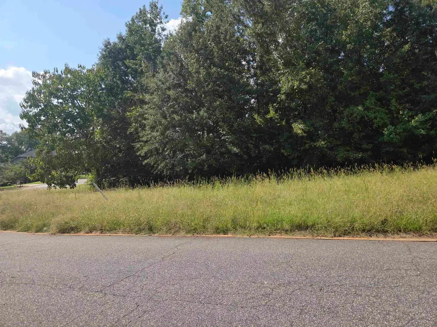 534 Deep Water Court, Inman, SC 29349 - #3