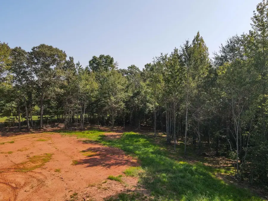 Smith Chapel Rd, Campobello, SC 29322 - #3