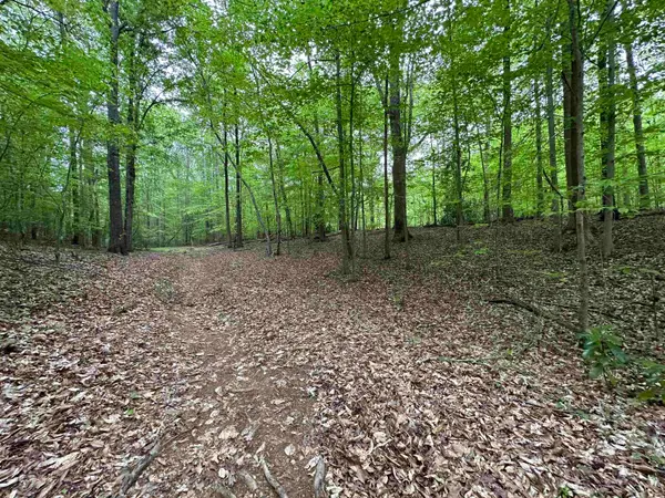 0 Thompson Street, Gaffney, SC 29340