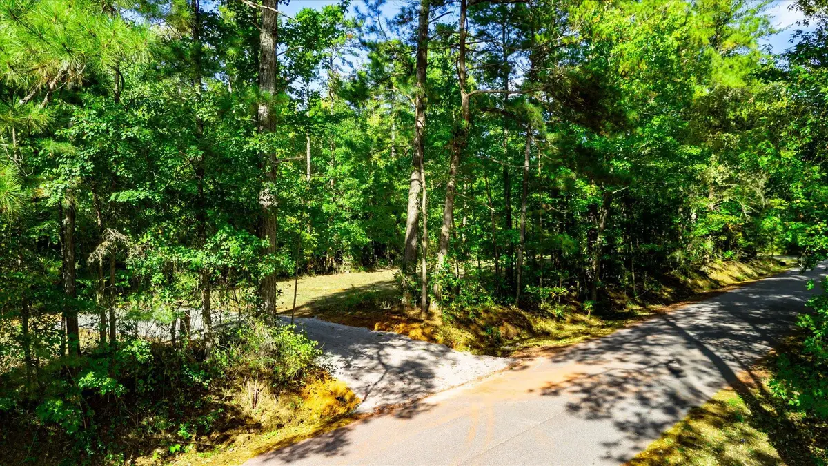 Tract A Lickville Road, Belton, SC 29627-8700 - #1