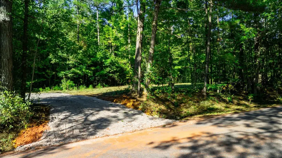 Tract A Lickville Road, Belton, SC 29627-8700 - #2