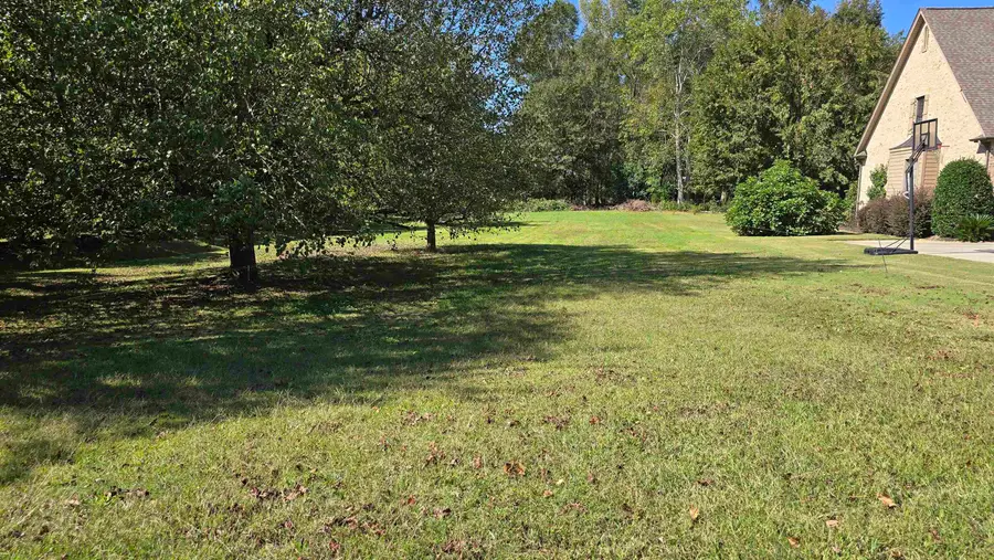 101 Lavender Hill Court, Simpsonville, SC 29681 - #2