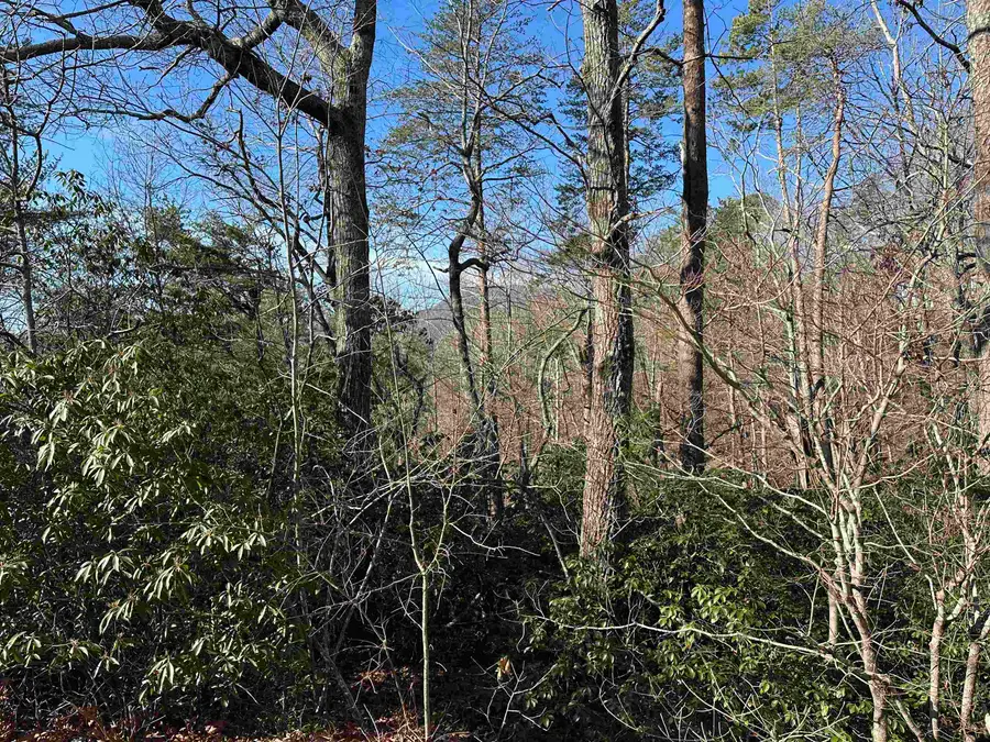 00 Caledonia Rd Road, Landrum, SC 29356-9632 - #2
