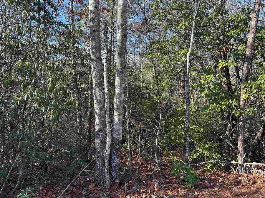 00 Caledonia Rd Road, Landrum, SC 29356-9632 - #3