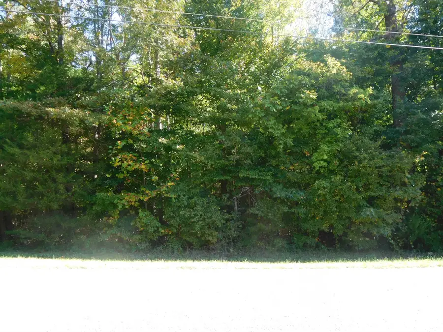 TBD Hamrick Street, Gaffney, SC 29340 - #2