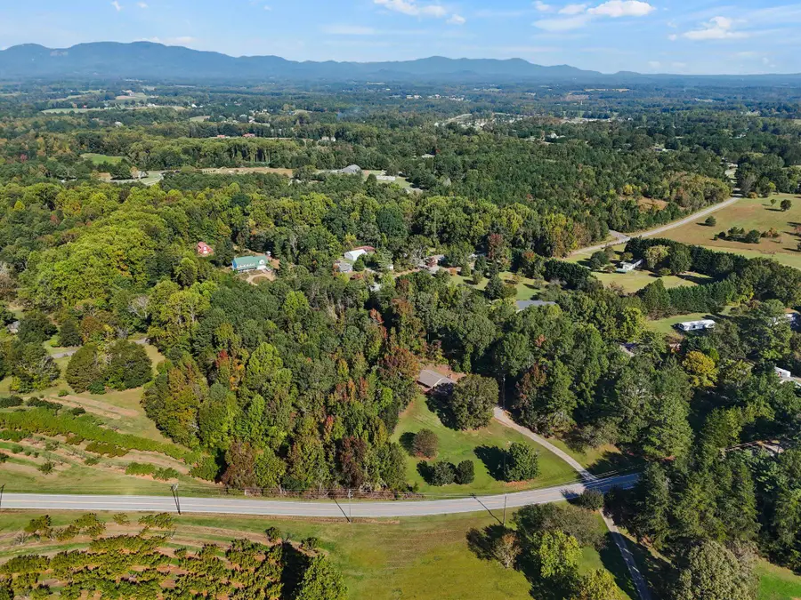 Lot 1 Honeysuckle Road, Campobello, SC 29322 - #3