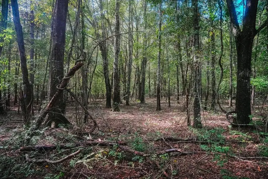 0 Robbs School Road, Gaffney, SC 29341 - #3