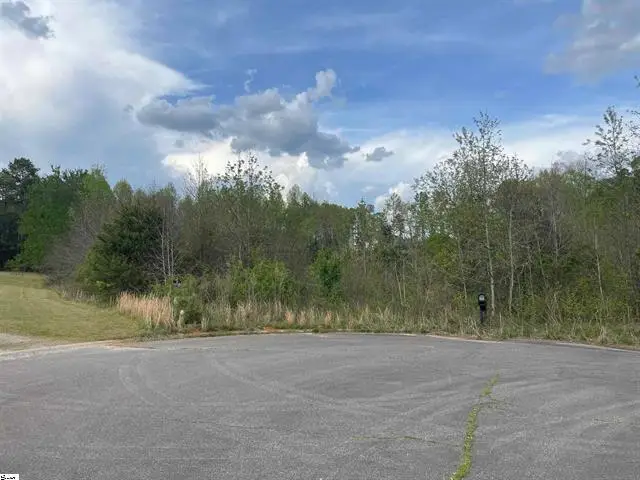 418 N Walcher Farm Drive, Inman, SC 29349 - #3