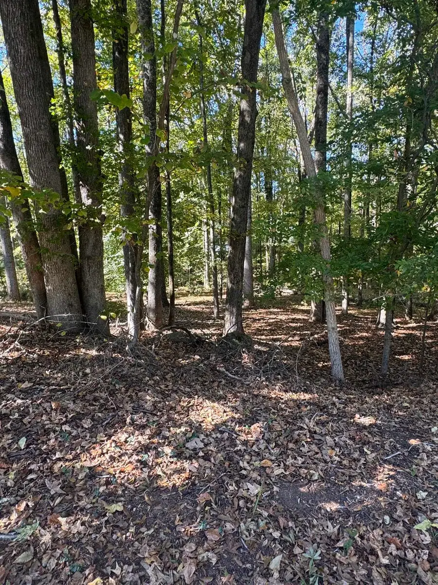 344 Valley View Drive, Woodruff, SC 29388 - #3