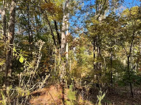 00 Cecil Road, Chesnee, SC 29323