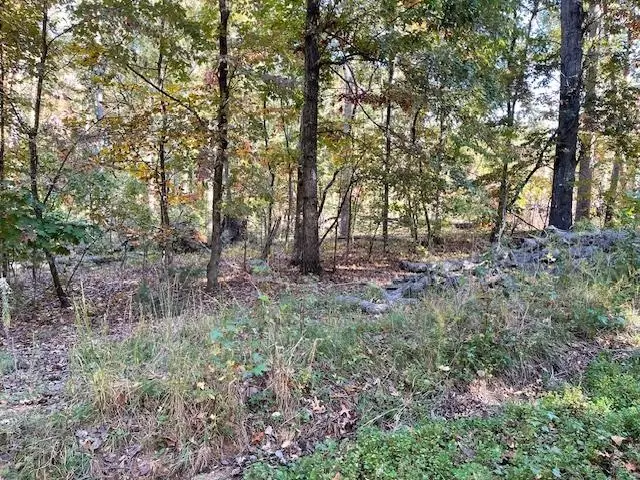00 Cecil Road, Chesnee, SC 29323 - #2