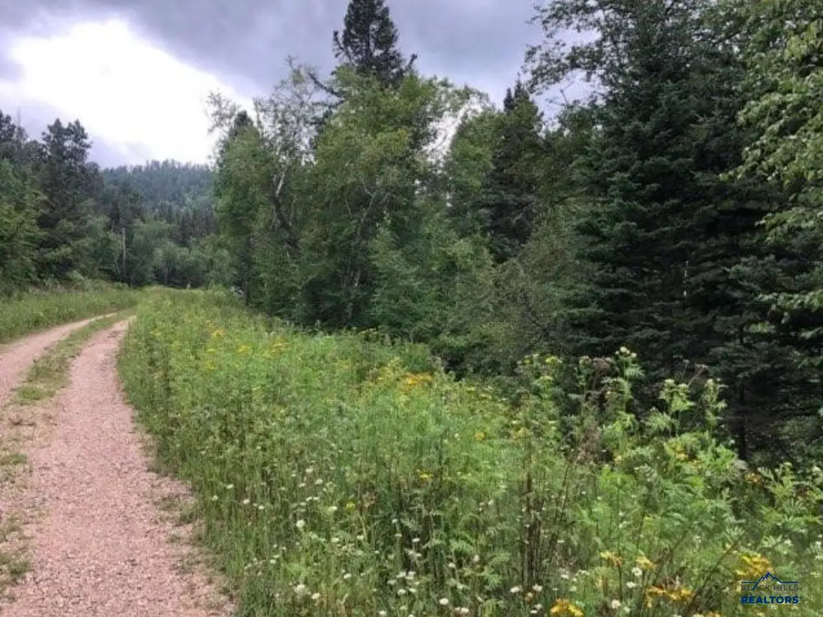 20693 Other, Lead, SD 57754 - Image #1