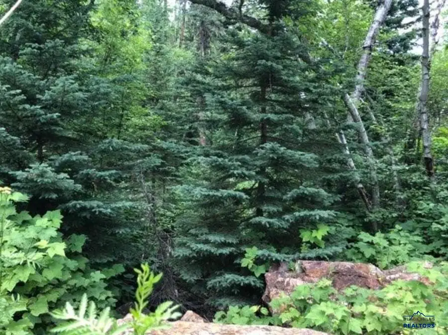 20693 Other, Lead, SD 57754 - Image #2