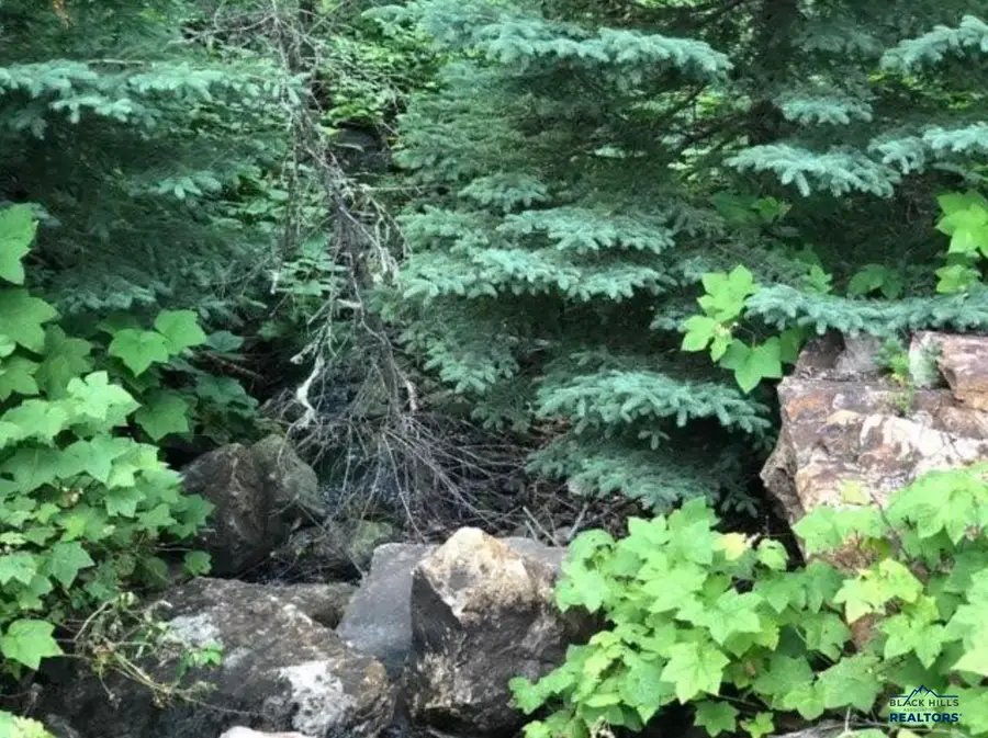 20693 Other, Lead, SD 57754 - Image #3