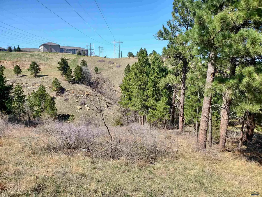 Alta Vista Dr, Rapid City, SD 57701 - #2