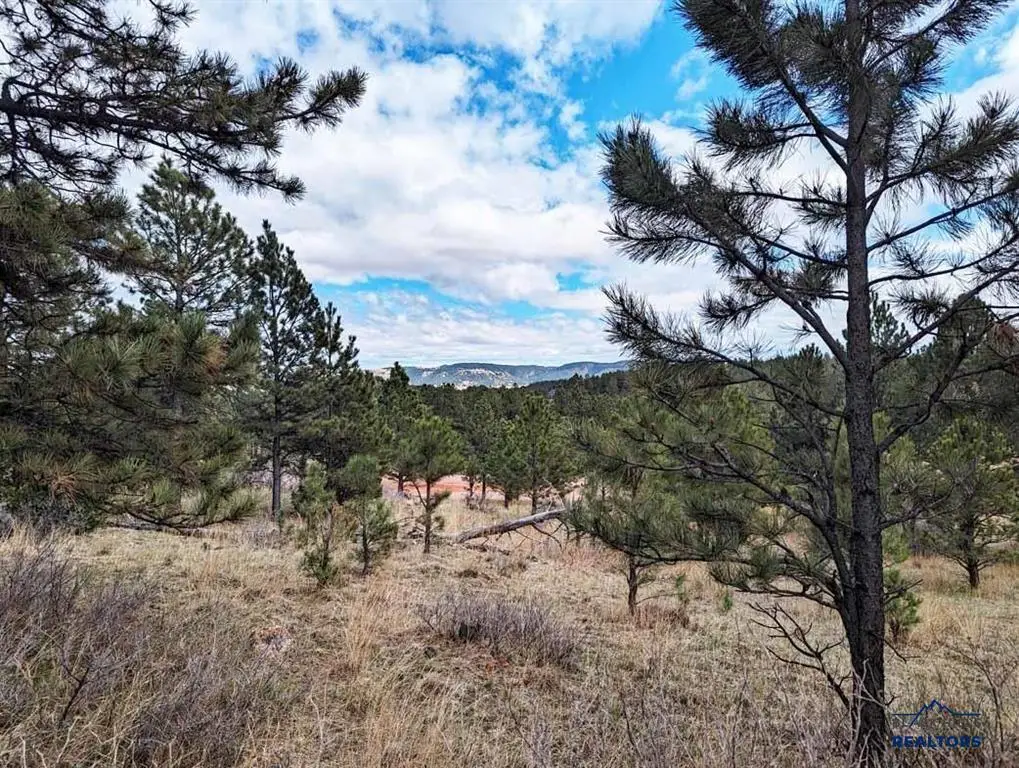 TBD Lot 1 Argyle Rd, Hot Springs, SD 57747 - #1