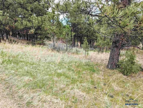 Lot 3 Argyle Rd, Hot Springs, SD 57747