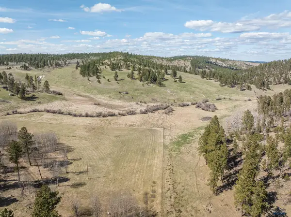 TBD Gillette Prairie Rd, HILL CITY, SD 57745