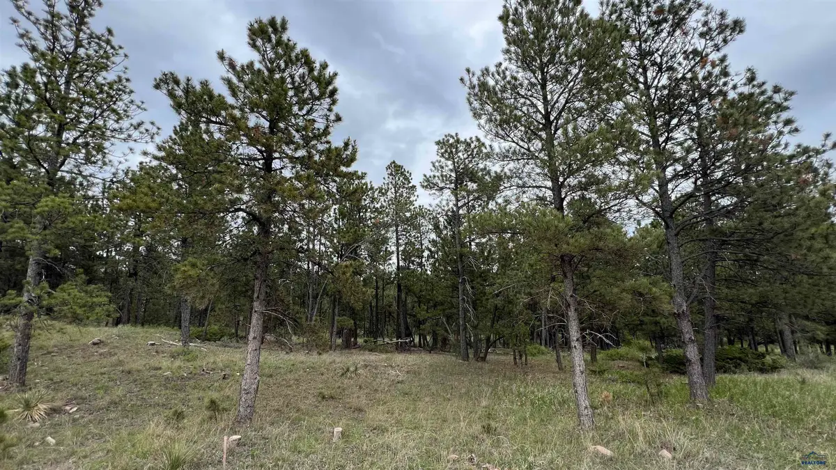 Lot 9 Argyle Rd, Hot Springs, SD 57747 - Image #1