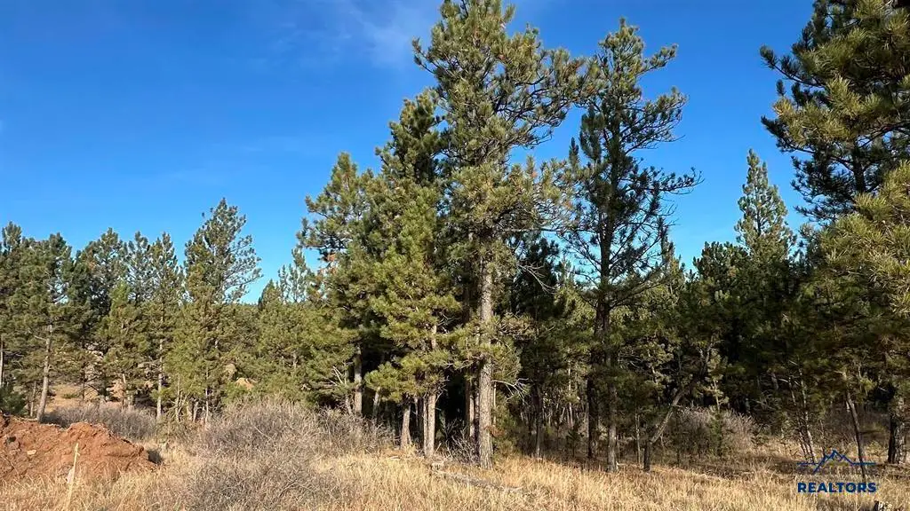 Lot 5 Westwind Dr, Hot Springs, SD 57747 - Image #1