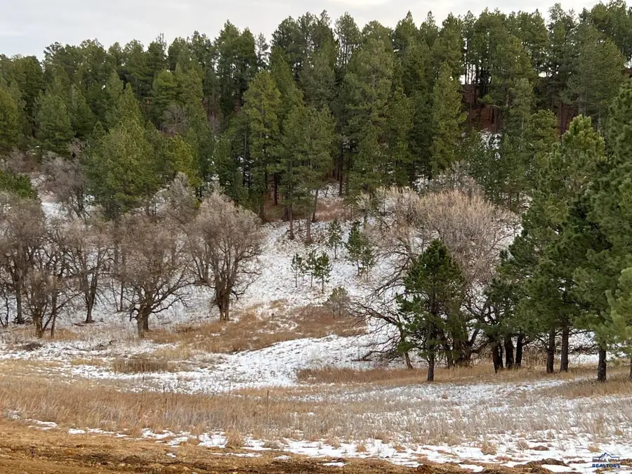 Lot 19 Summit Pass, Whitewood, SD 57793 - #2