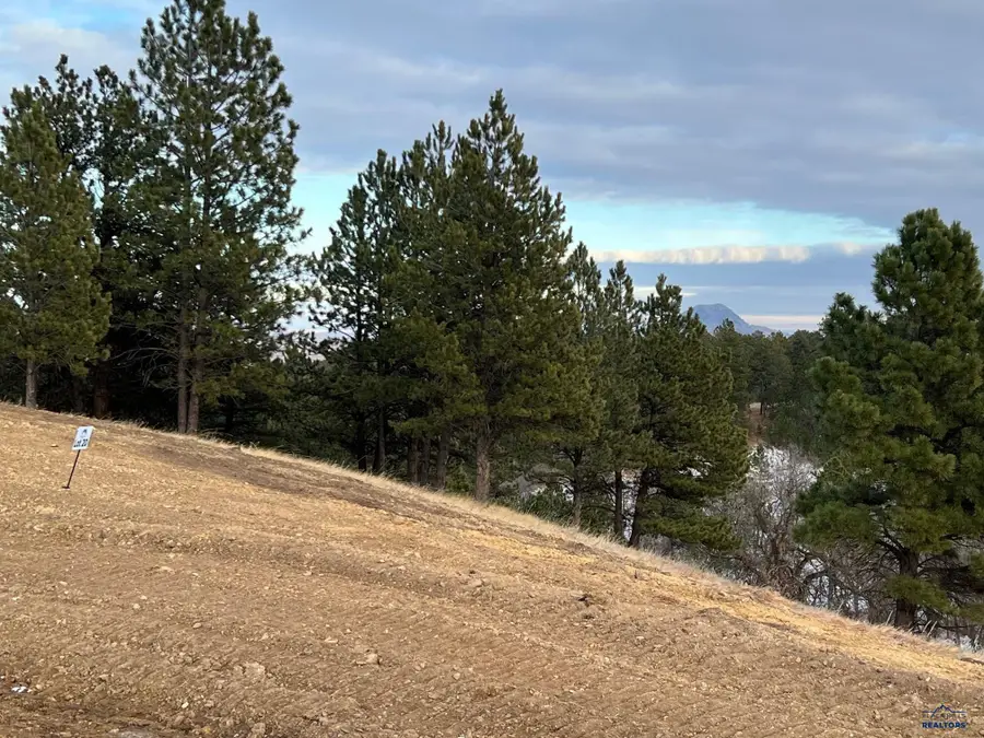 Lot 19 Summit Pass, Whitewood, SD 57793 - #3