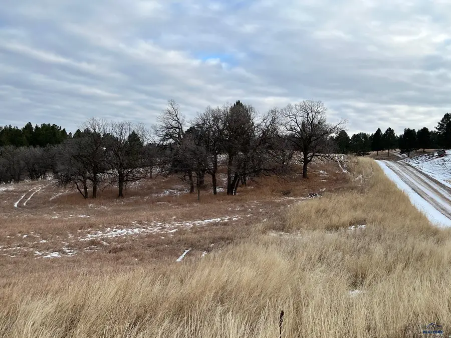 Lot 28 Ponderosa Pass Rd, Whitewood, SD 57793 - #2