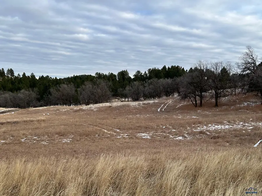 Lot 28 Ponderosa Pass Rd, Whitewood, SD 57793 - #3