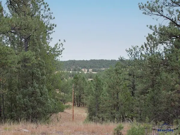 10345 Turkey Trail, Edgemont, SD 57735