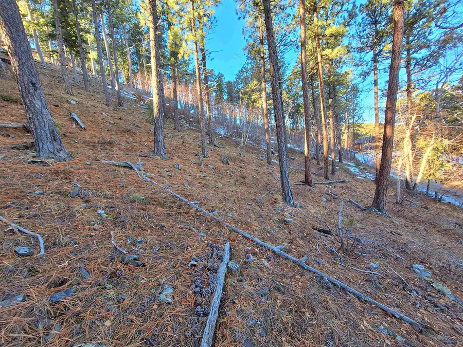 TBD Munich Ln, Rapid City, SD 57702 - Image #2