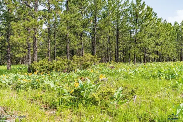 TBD Quarry Rd, Four Corners, WY 82715