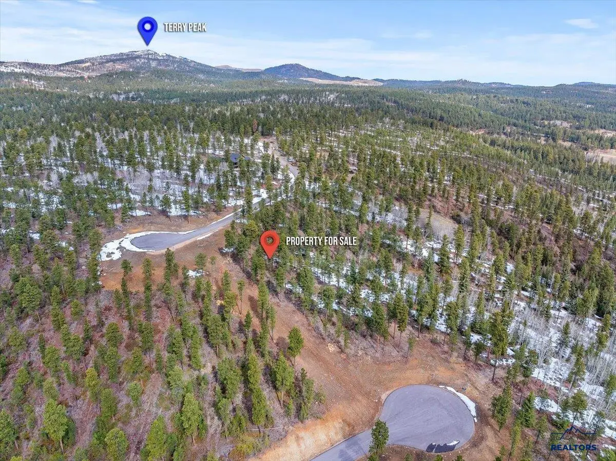 Lot 10 Other, Lead, SD 57754 - Image #1