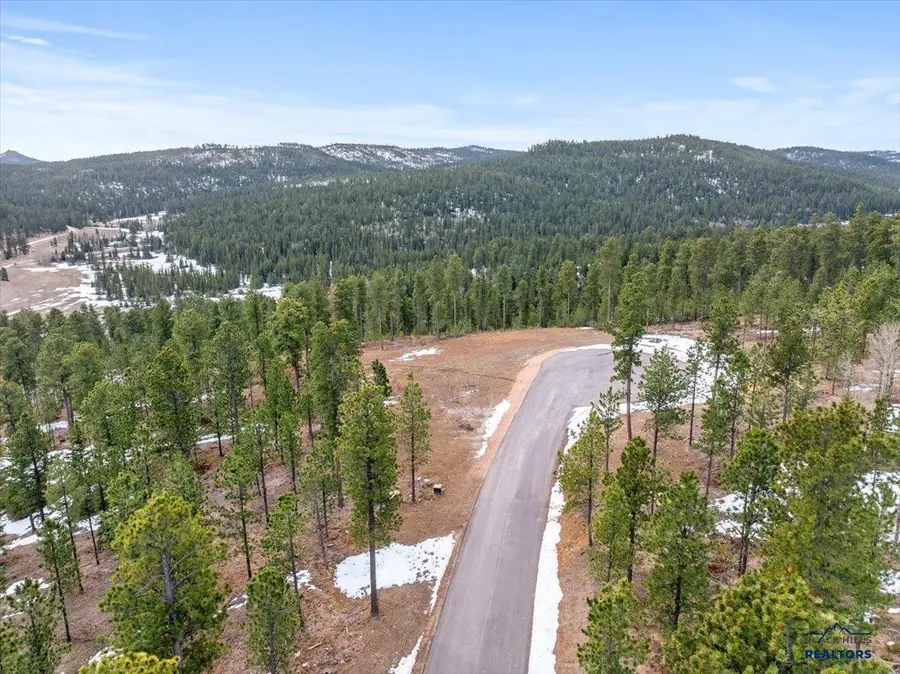 Lot 10 Other, Lead, SD 57754 - Image #2